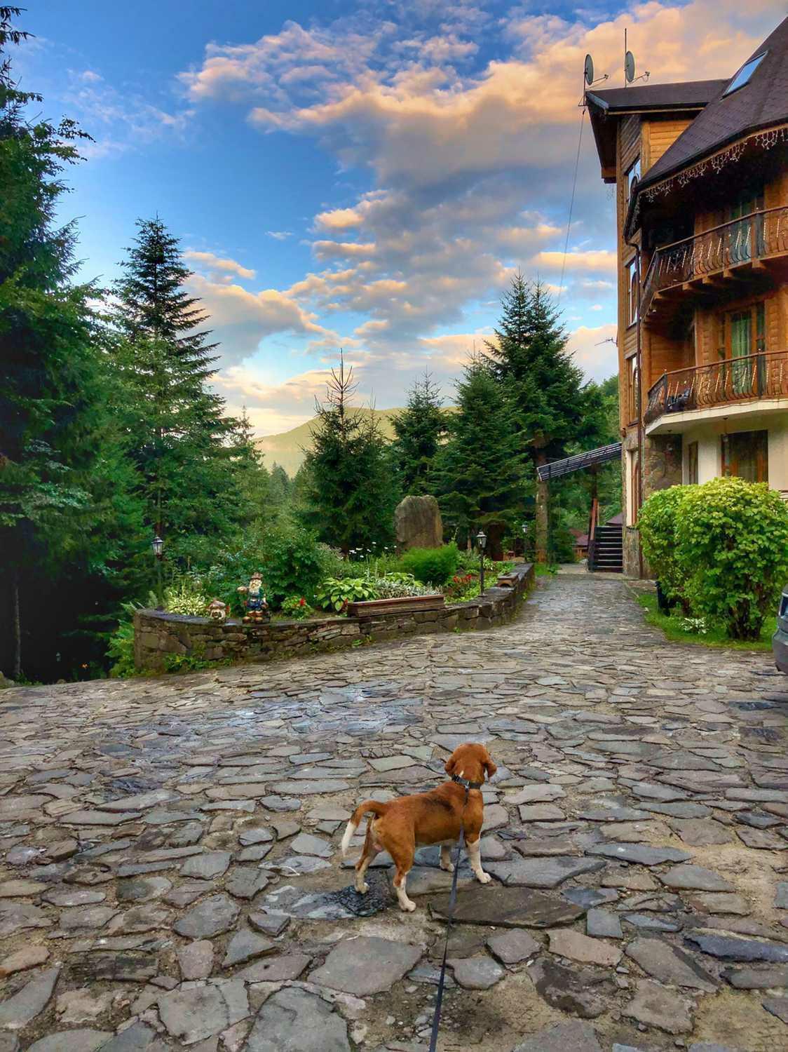 Hotel Dykyi Med Tatariv Esterno foto